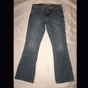 Express Flair/bootcut Denim